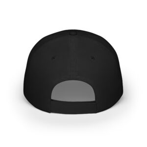 Low Profile Baseball Cap – National Black Student Achievement Association